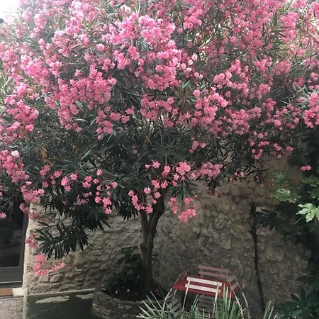 Petite Maison Sur Jardin Secret