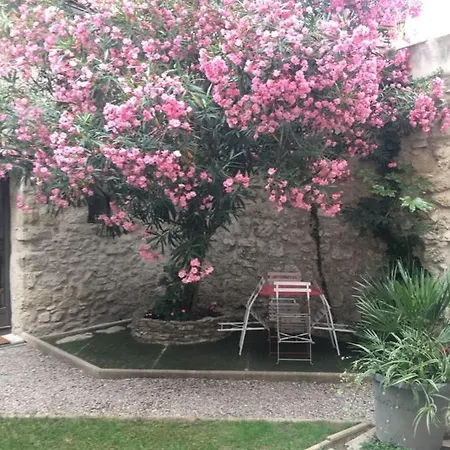 Apartment Petite Maison Sur Jardin Secret